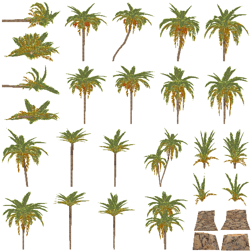 date palm 03.png